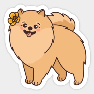 Cute dog pomeranian spitz Sticker